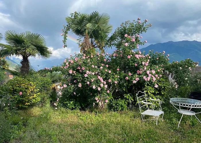 아파트 Casa Alle Palme- Locarno Minusio