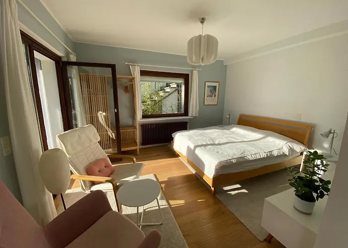 Casa Alle Palme- Locarno Appartement