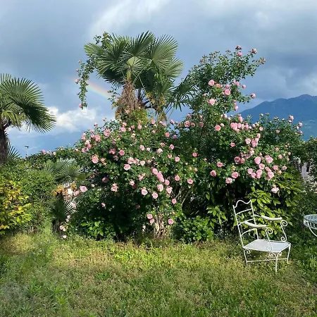 アパート Casa Alle Palme- Locarno Minusio